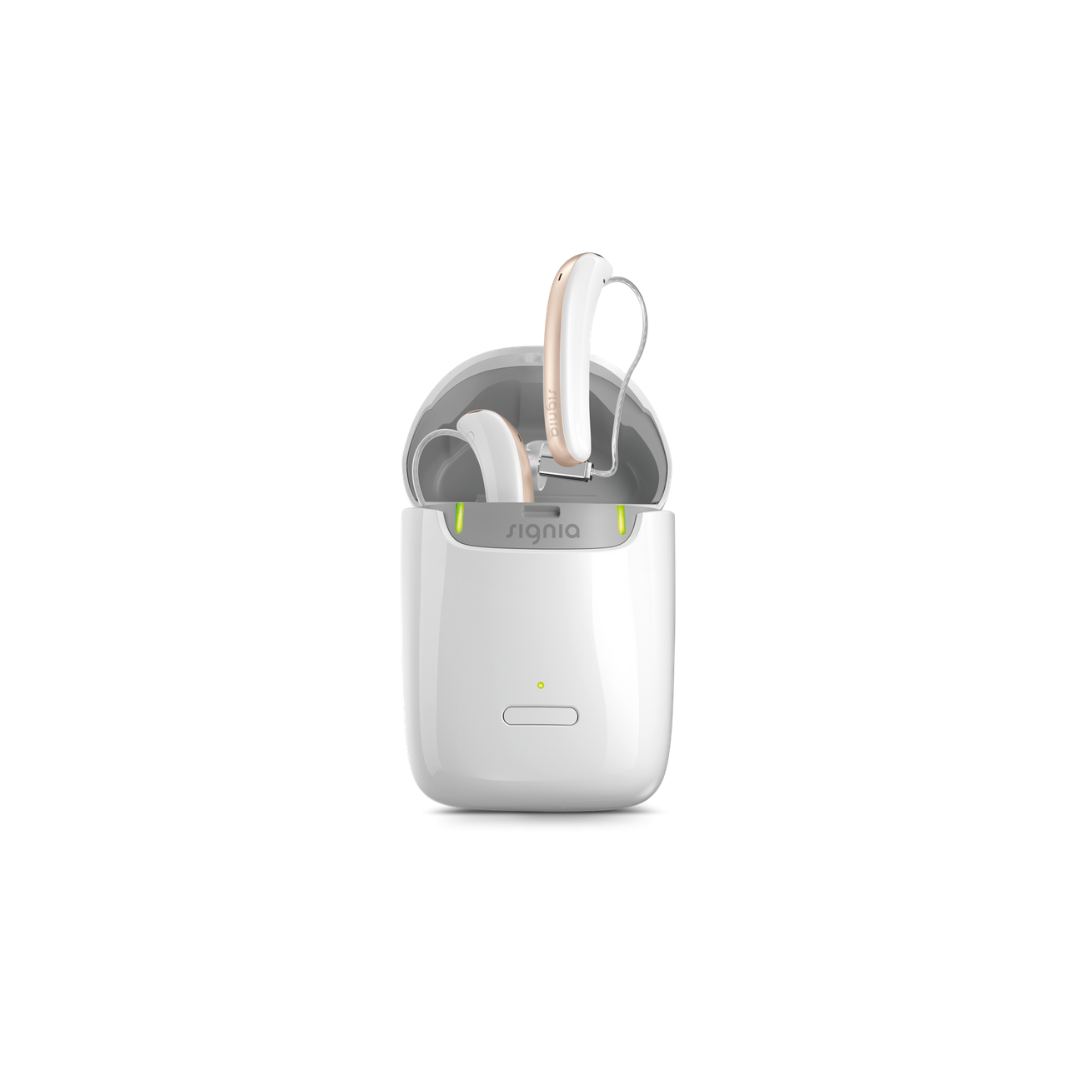 Caricabatterie Styletto X Chargeurs de batteries pour usage courant